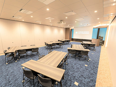 島形式のイメージ